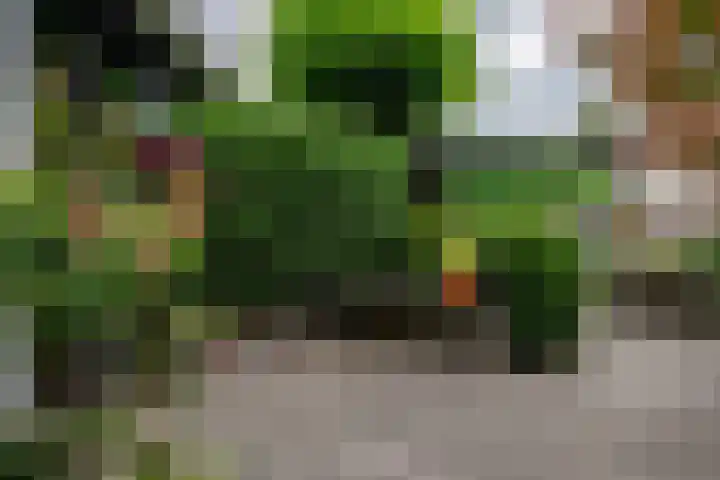 Buizerdstraat 14 Leerdam thumbnail 63