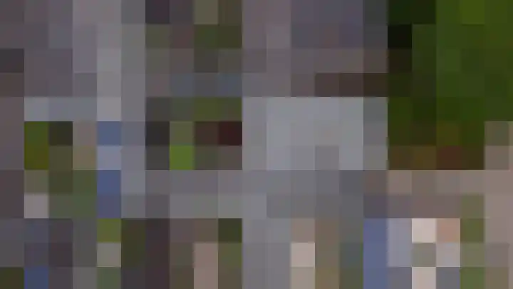 Buizerdstraat 14 Leerdam thumbnail 68