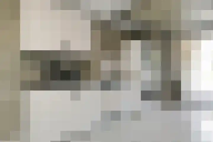 Buizerdstraat 2 Ospel thumbnail 21
