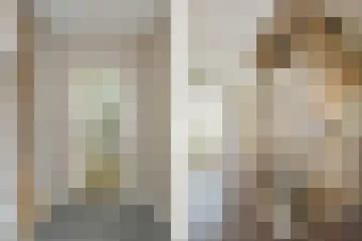 Buizerdstraat 2 Ospel thumbnail 23