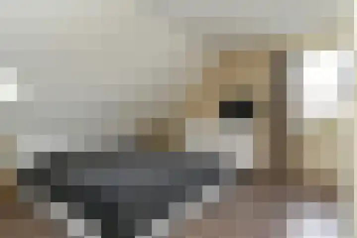 Buizerdstraat 2 Ospel thumbnail 24