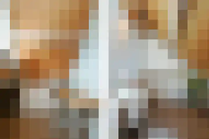 Buizerdstraat 2 Ospel thumbnail 32