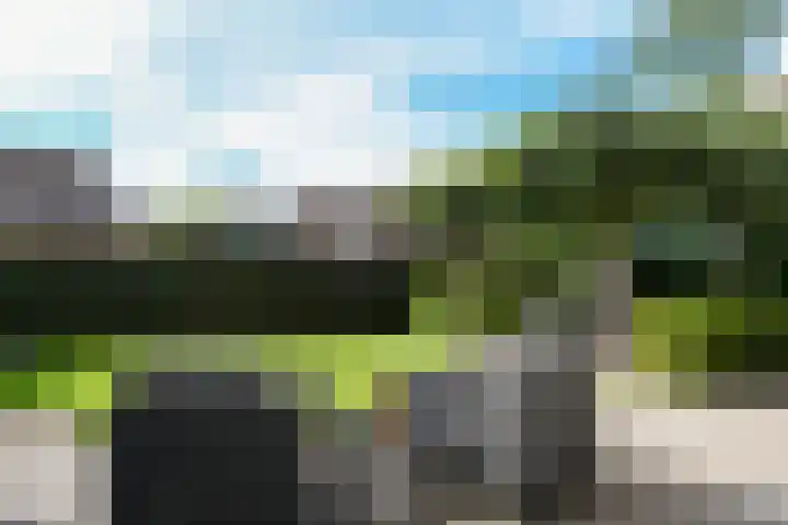 Buizerdstraat 2 Ospel thumbnail 37