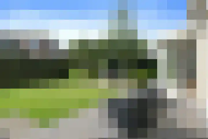 Buizerdstraat 2 Ospel thumbnail 38
