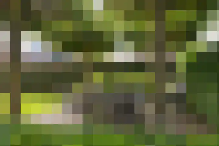 Buizerdstraat 2 Ospel thumbnail 39