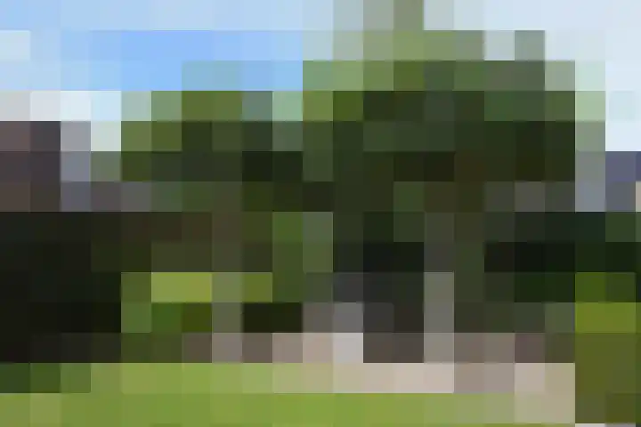 Buizerdstraat 2 Ospel thumbnail 40
