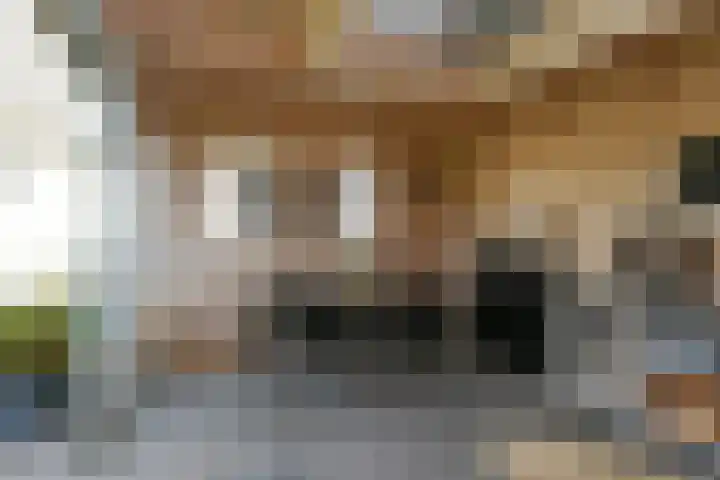 Buizerdstraat 2 Ospel thumbnail 42
