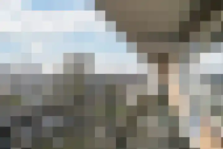 Buizerdstraat 204 Maassluis thumbnail 8