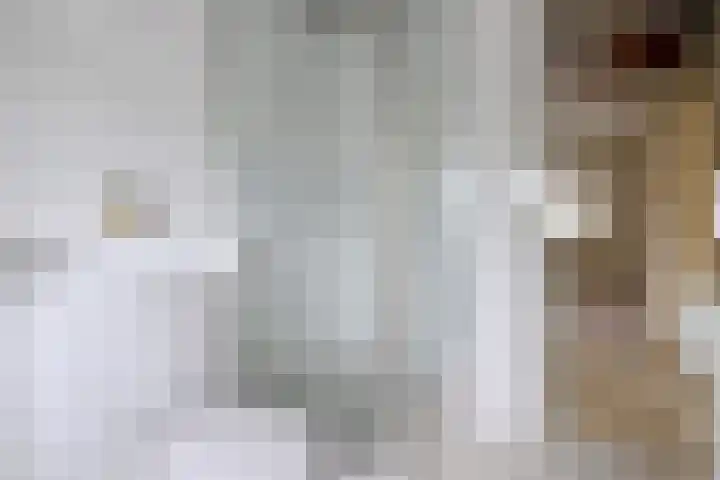 Buizerdstraat 21 Brummen thumbnail 18