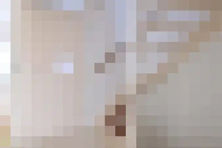 Buizerdstraat 21 Brummen thumbnail 31