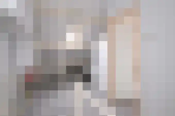 Buizerdstraat 21 Brummen thumbnail 33