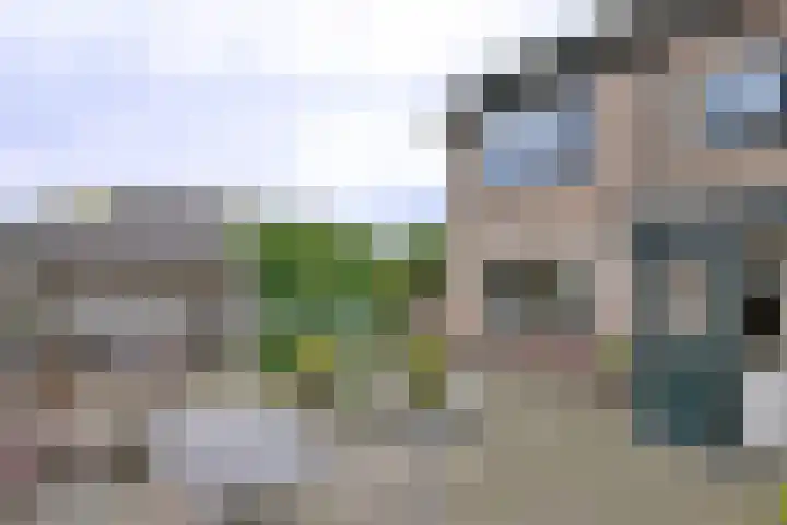 Buizerdstraat 21 Brummen thumbnail 38
