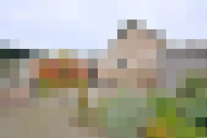Buizerdstraat 21 Brummen thumbnail 39