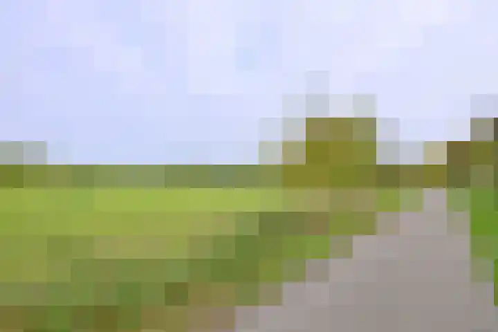 Buizerdstraat 21 Brummen thumbnail 45