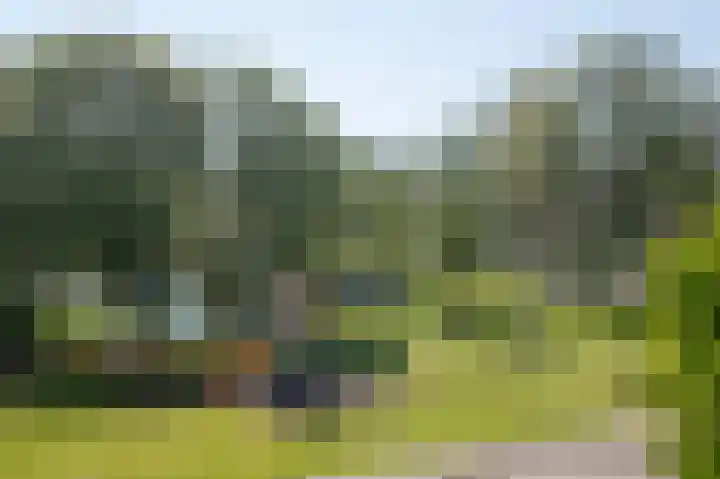 Buizerdstraat 28 Assen thumbnail 18
