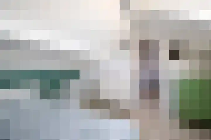 Buizerdstraat 28 Assen thumbnail 32