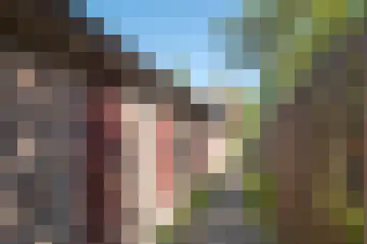 Buizerdstraat 28 Assen thumbnail 37