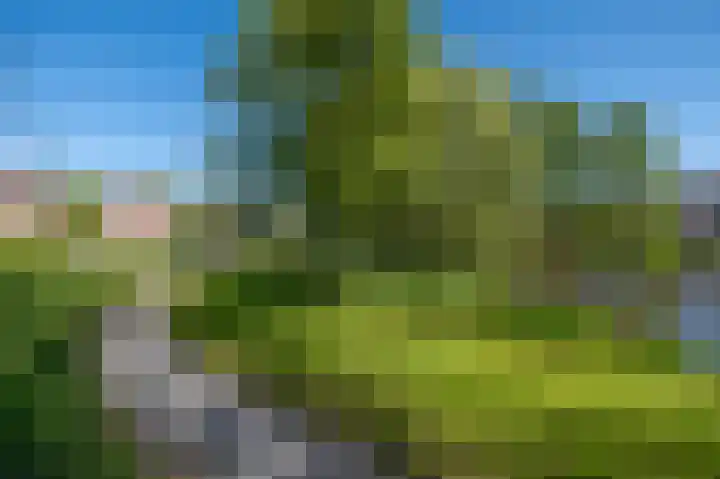 Buizerdstraat 28 Assen thumbnail 38