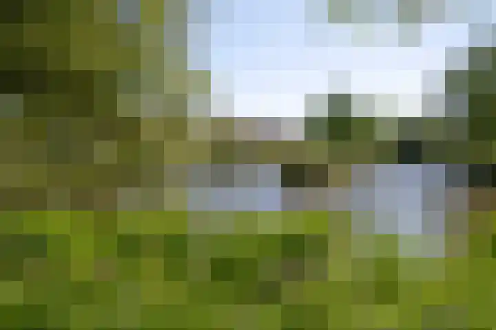 Buizerdstraat 28 Assen thumbnail 39