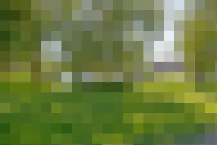 Buizerdstraat 28 Assen thumbnail 40