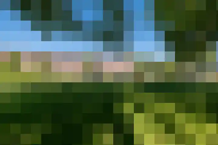 Buizerdstraat 28 Assen thumbnail 42