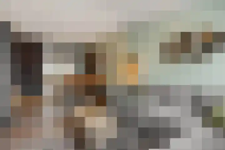 Buizerdstraat 4 Helmond thumbnail 12
