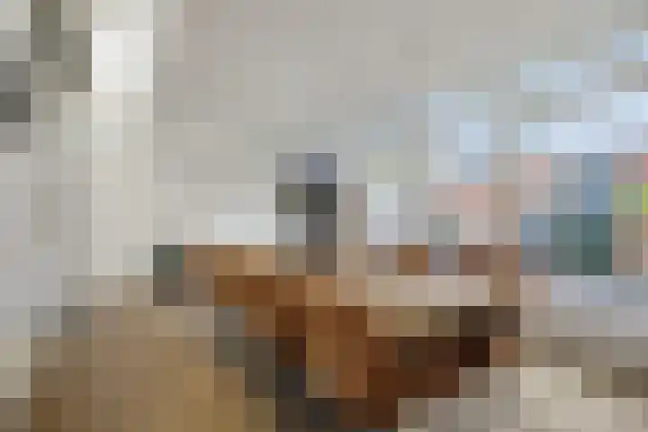 Buizerdstraat 4 Helmond thumbnail 20