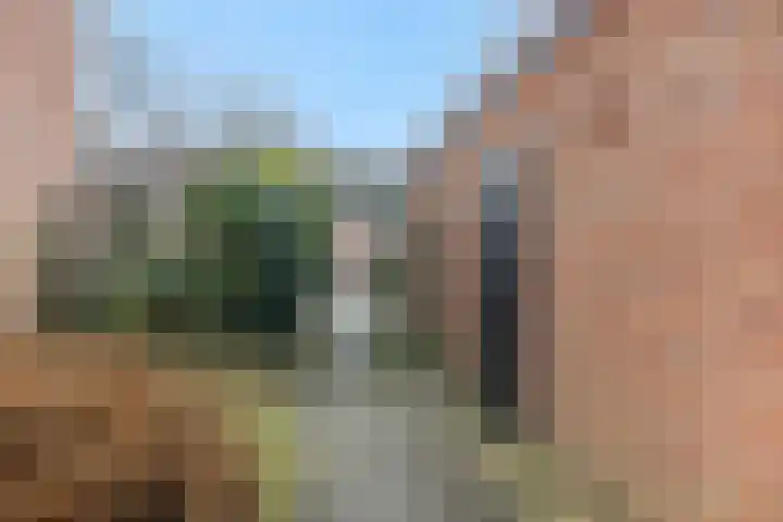 Buizerdstraat 4 Helmond thumbnail 39