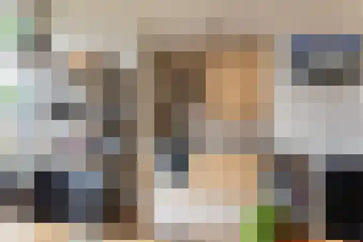 Buizerdstraat 44 Epe thumbnail 10