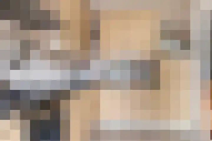 Buizerdstraat 44 Epe thumbnail 11