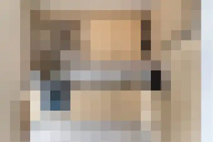 Buizerdstraat 44 Epe thumbnail 12