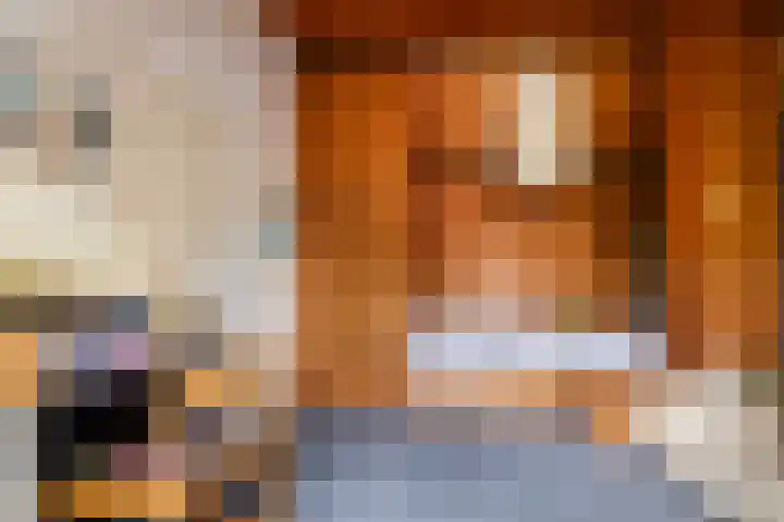 Buizerdstraat 44 Epe thumbnail 15