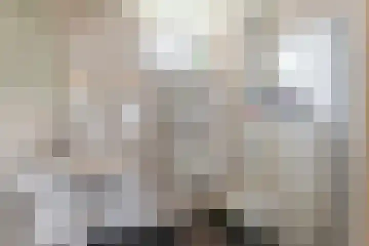 Buizerdstraat 44 Epe thumbnail 17