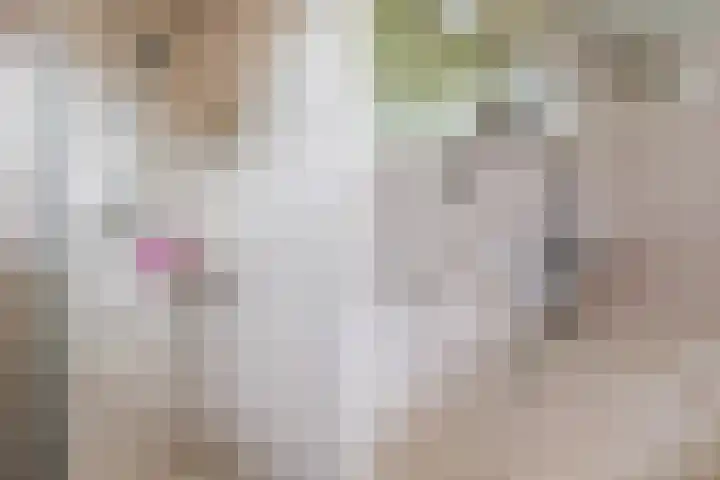 Buizerdstraat 44 Epe thumbnail 18