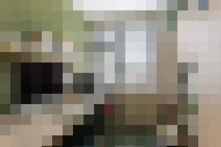 Buizerdstraat 44 Epe thumbnail 19