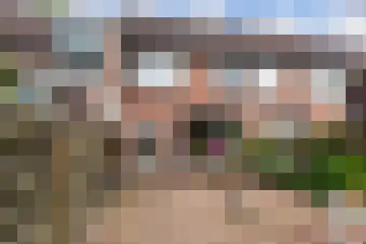 Buizerdstraat 44 Epe foto 2