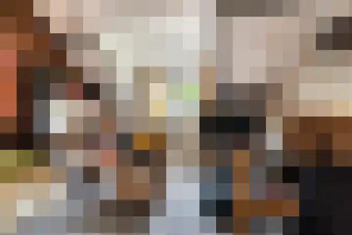 Buizerdstraat 44 Epe thumbnail 21