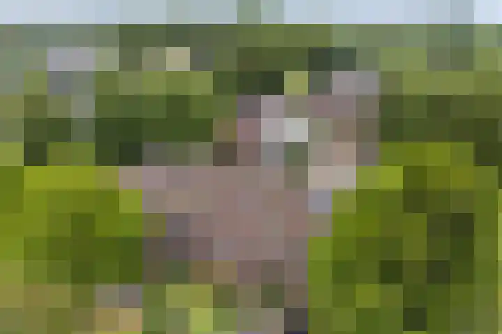 Buizerdstraat 44 Epe thumbnail 22