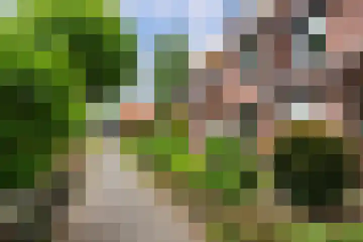 Buizerdstraat 44 Epe thumbnail 23