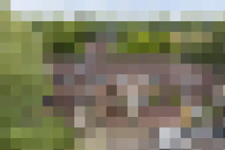 Buizerdstraat 44 Epe thumbnail 24