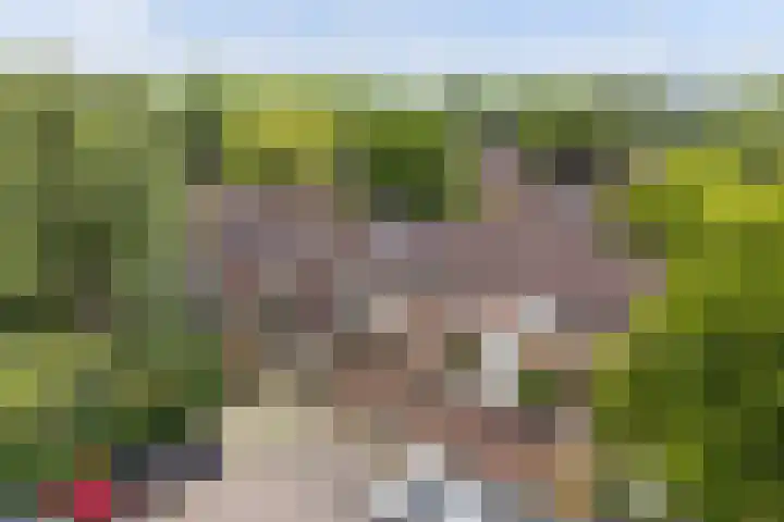 Buizerdstraat 44 Epe thumbnail 25