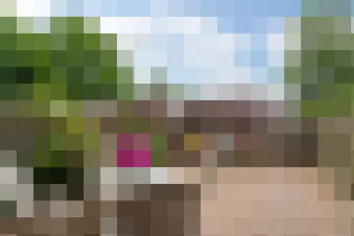 Buizerdstraat 44 Epe foto 3