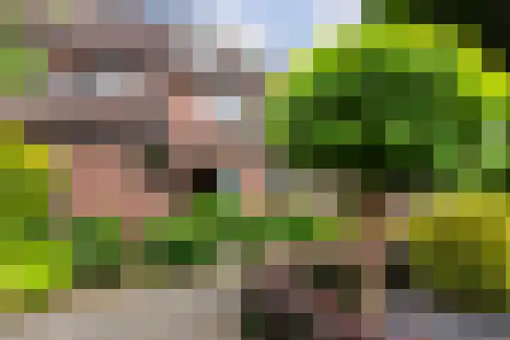 Buizerdstraat 44 Epe thumbnail 4