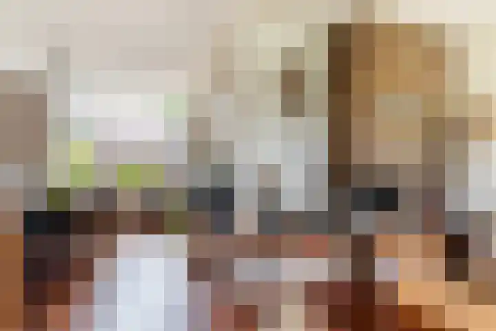 Buizerdstraat 44 Epe thumbnail 8