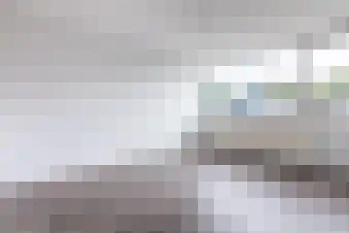 Buizerdstraat 59 Brummen thumbnail 17