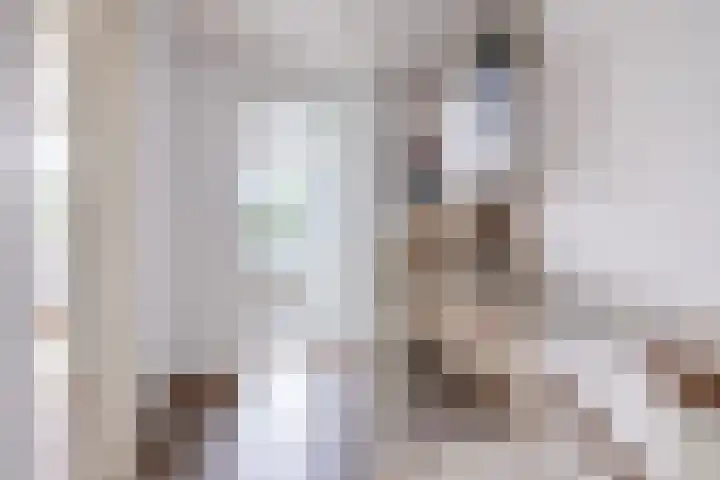 Buizerdstraat 59 Brummen thumbnail 26