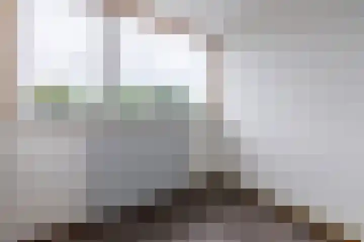 Buizerdstraat 59 Brummen thumbnail 31