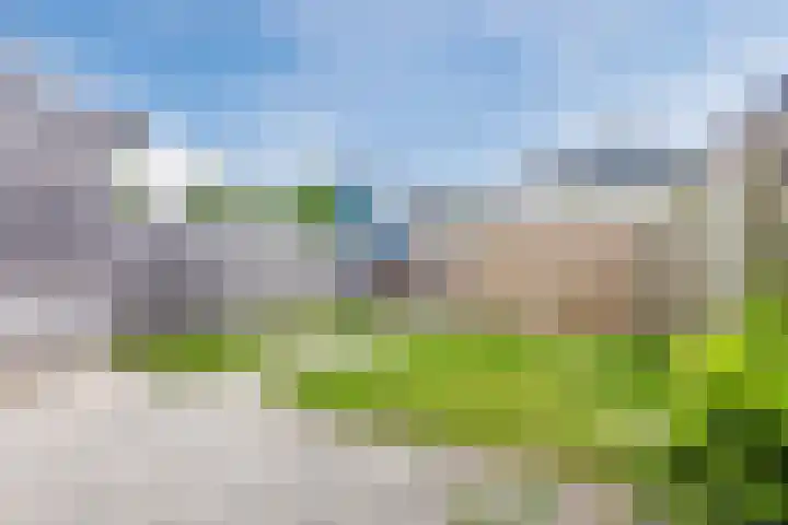 Buizerdstraat 59 Brummen thumbnail 33