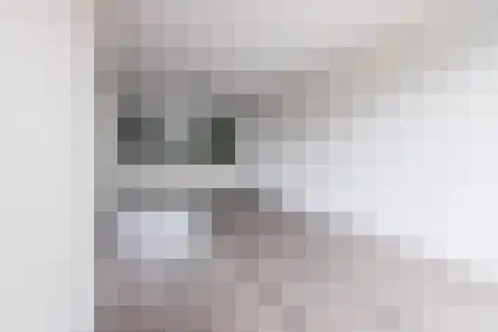 Buizerdstraat 59 Brummen thumbnail 9