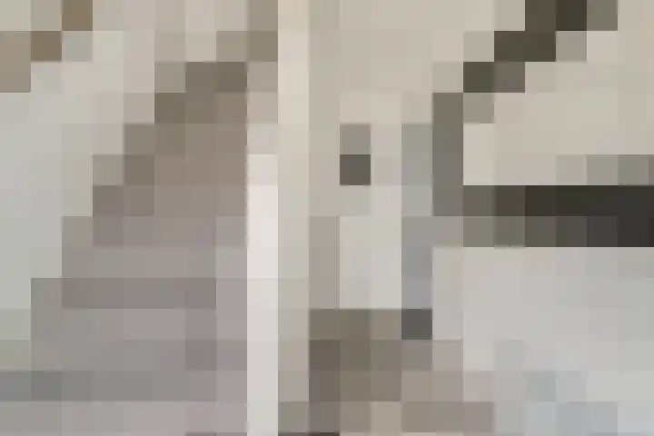 Buizerdstraat 73 Brummen thumbnail 11